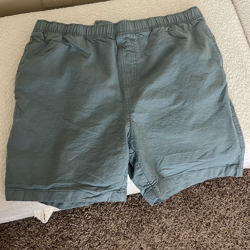 Free Fly Shorts in sea foam green